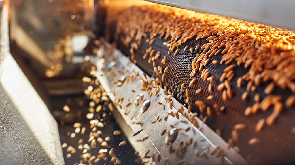 getreide_beltconveyor Kopie