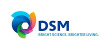 referenzen-dsm-